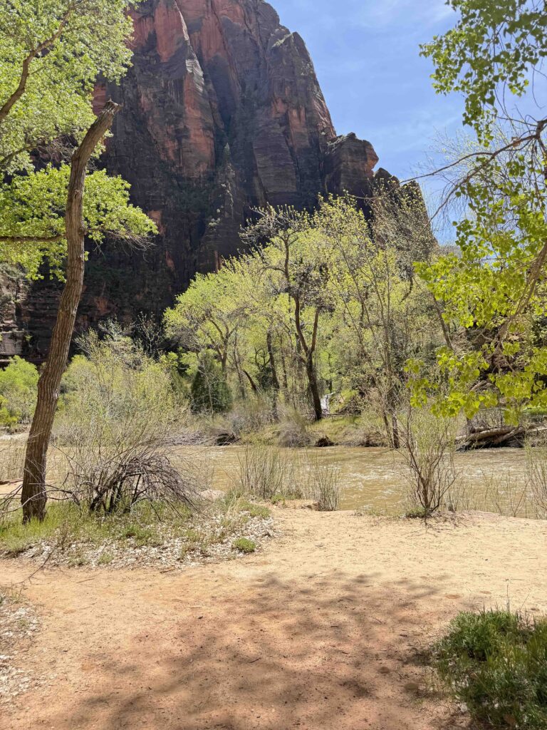 photo of Temple of Sinawava ceremony site.