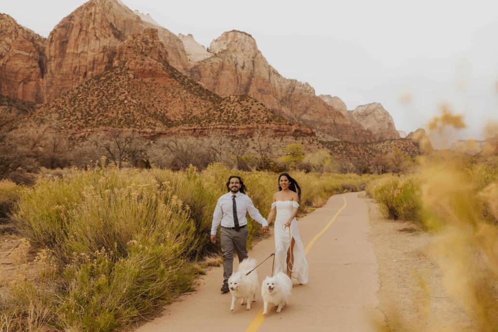 A bride and groom walking their dogs in the springtime in Zion